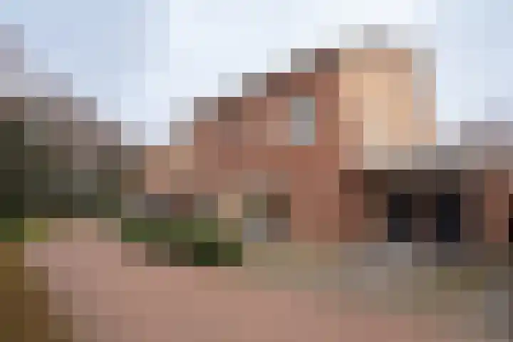 Mastbos 116 Enschede thumbnail 5