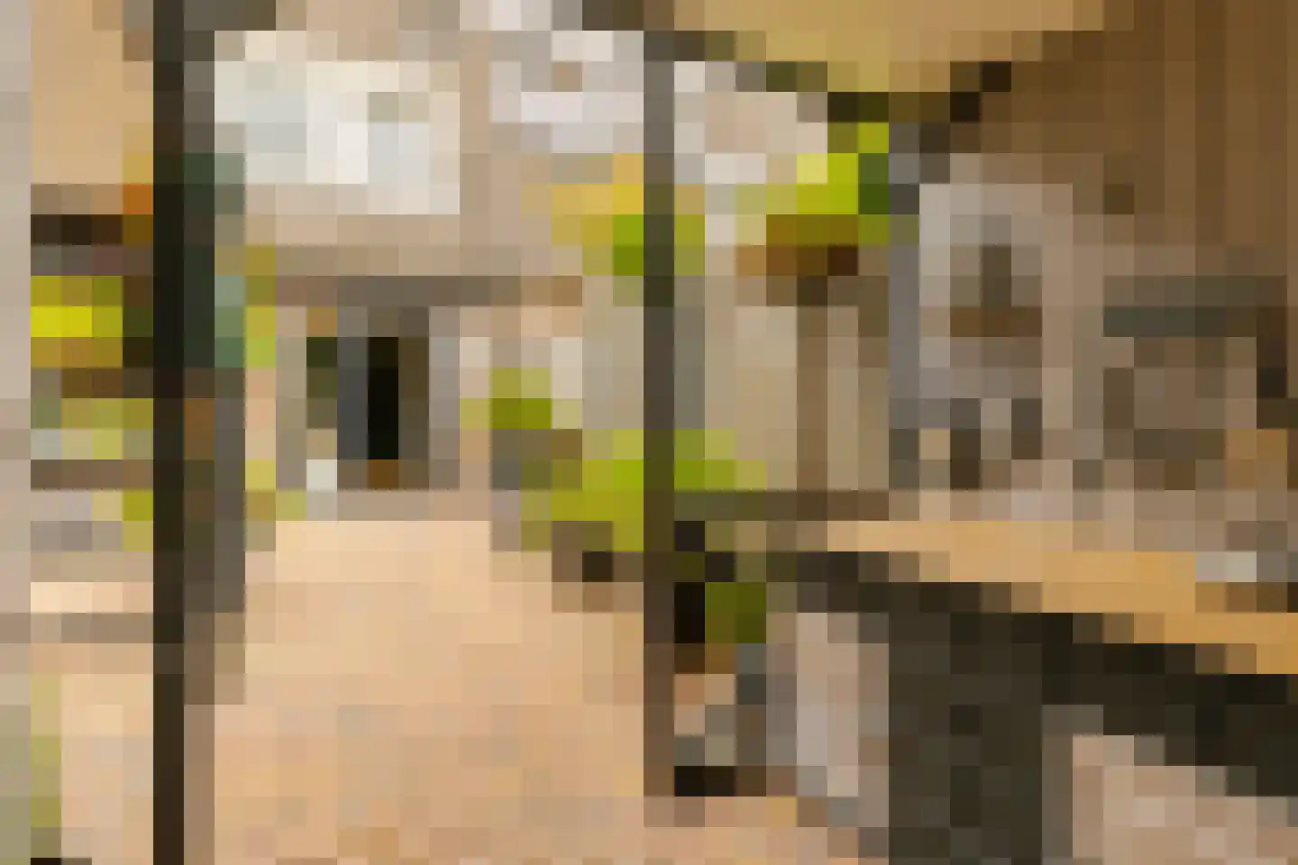 Mastbos 130 Hoofddorp thumbnail 18