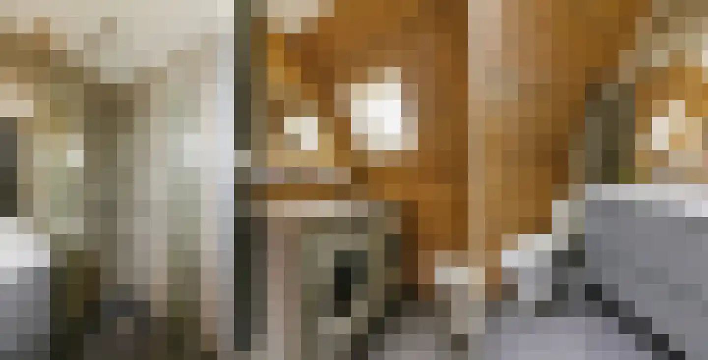 Mastbos 130 Hoofddorp thumbnail 23