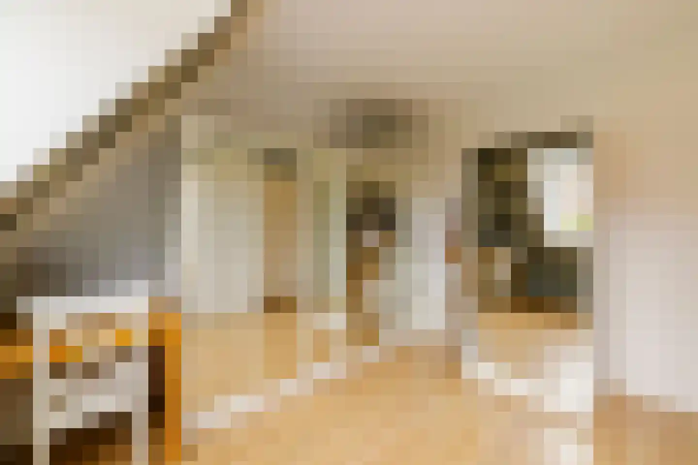 Mastbos 130 Hoofddorp thumbnail 25
