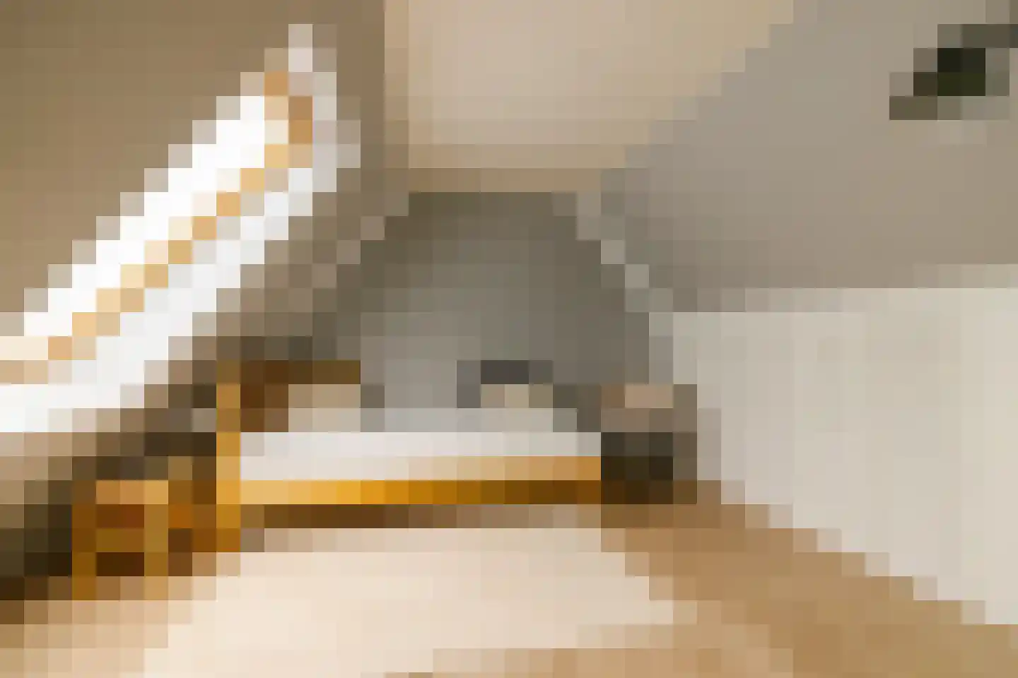 Mastbos 130 Hoofddorp thumbnail 26