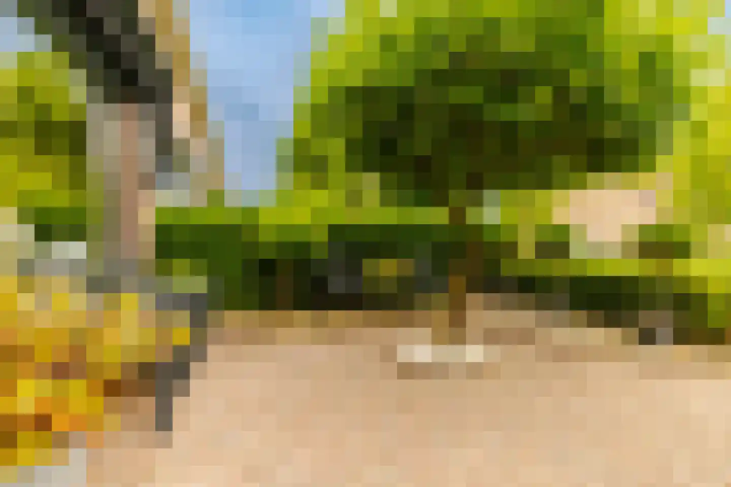 Mastbos 130 Hoofddorp thumbnail 33