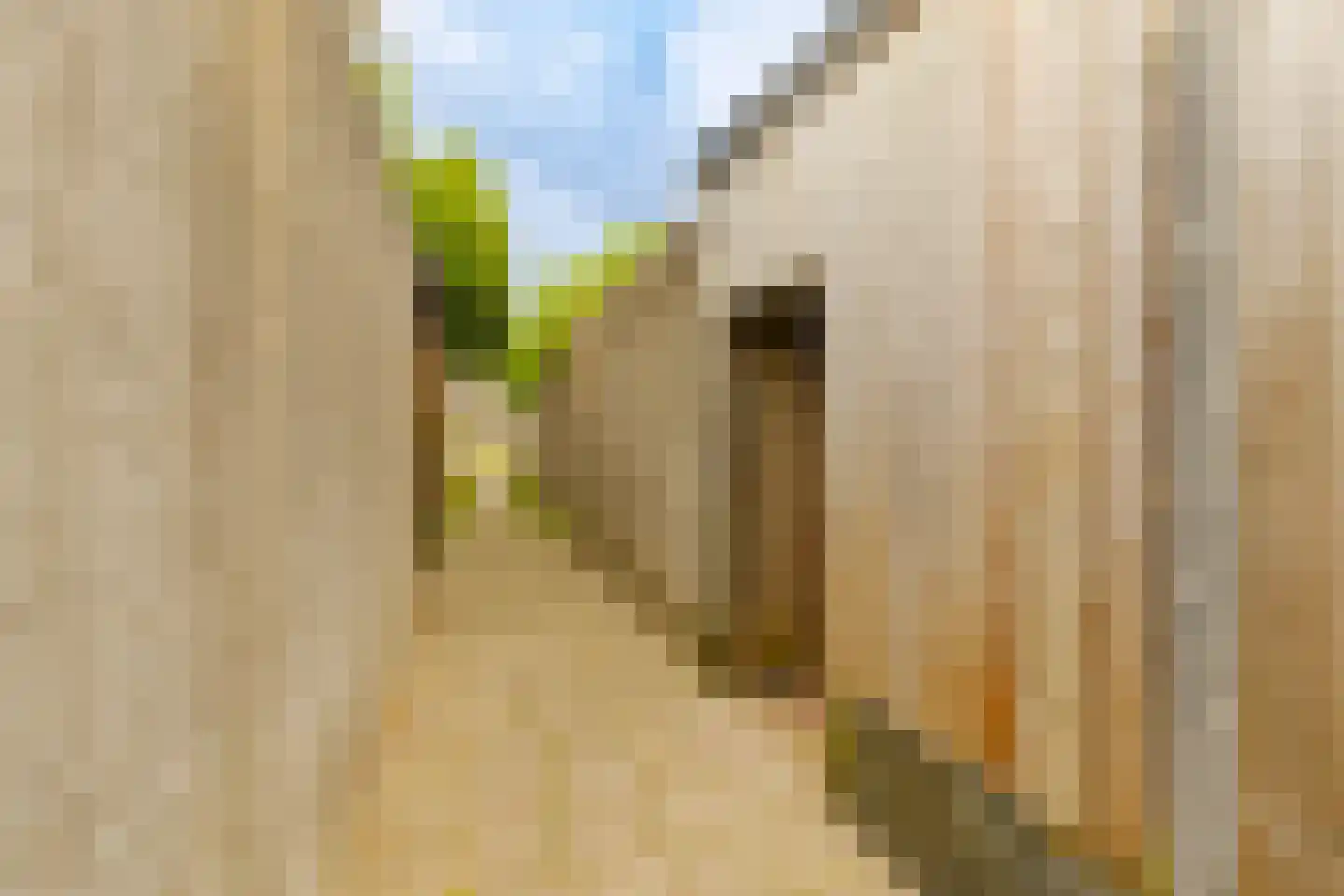 Mastbos 130 Hoofddorp thumbnail 36