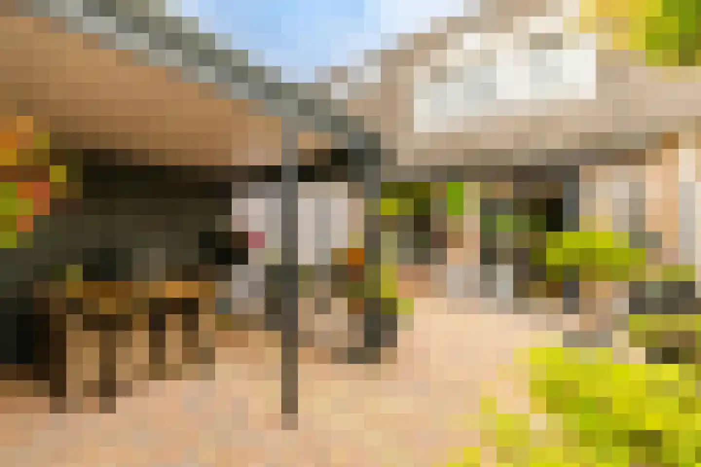 Mastbos 130 Hoofddorp thumbnail 4