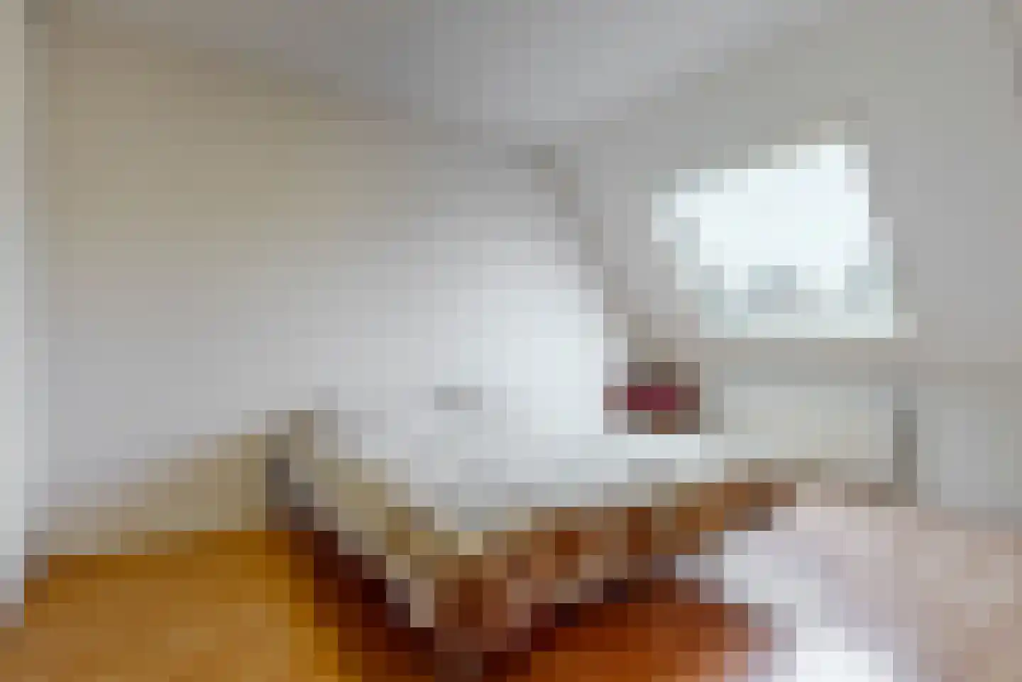 Mastbos 143 Hoofddorp thumbnail 15