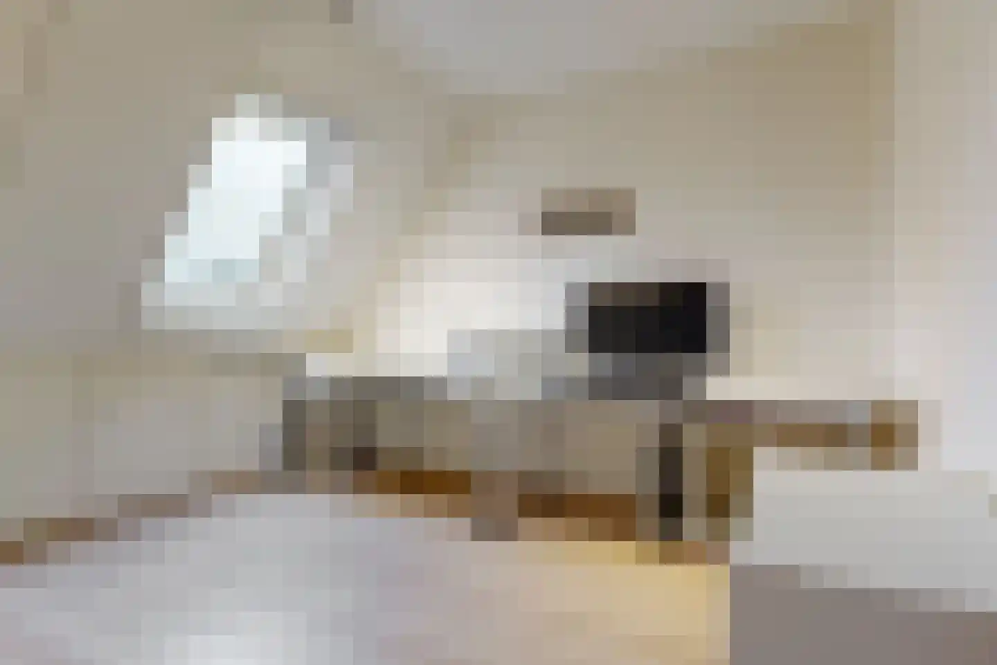 Mastbos 143 Hoofddorp thumbnail 18