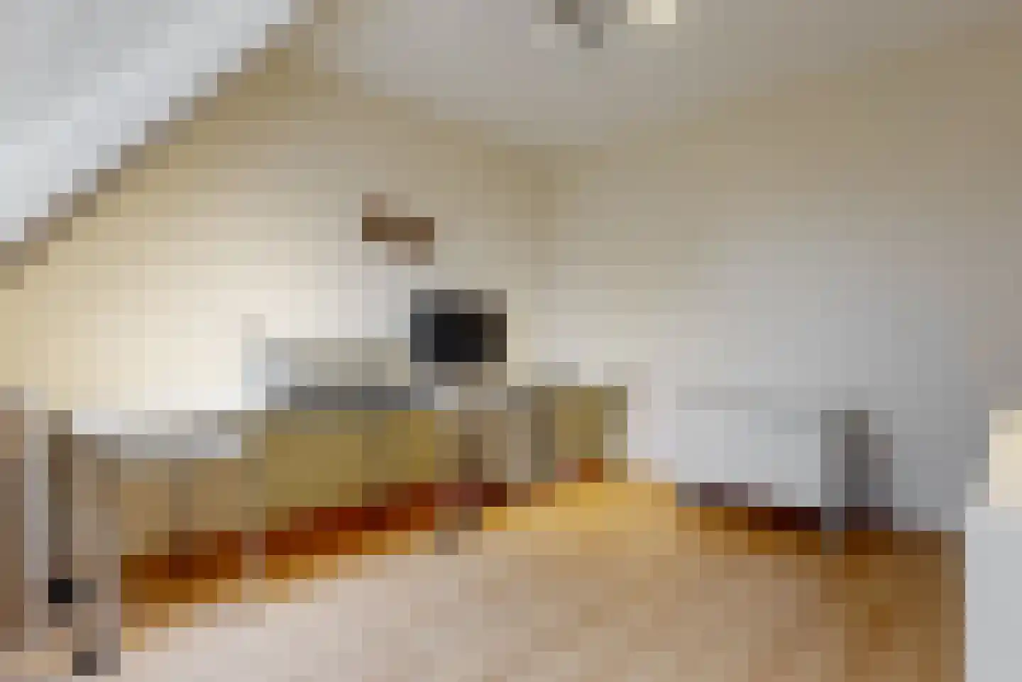 Mastbos 143 Hoofddorp thumbnail 20