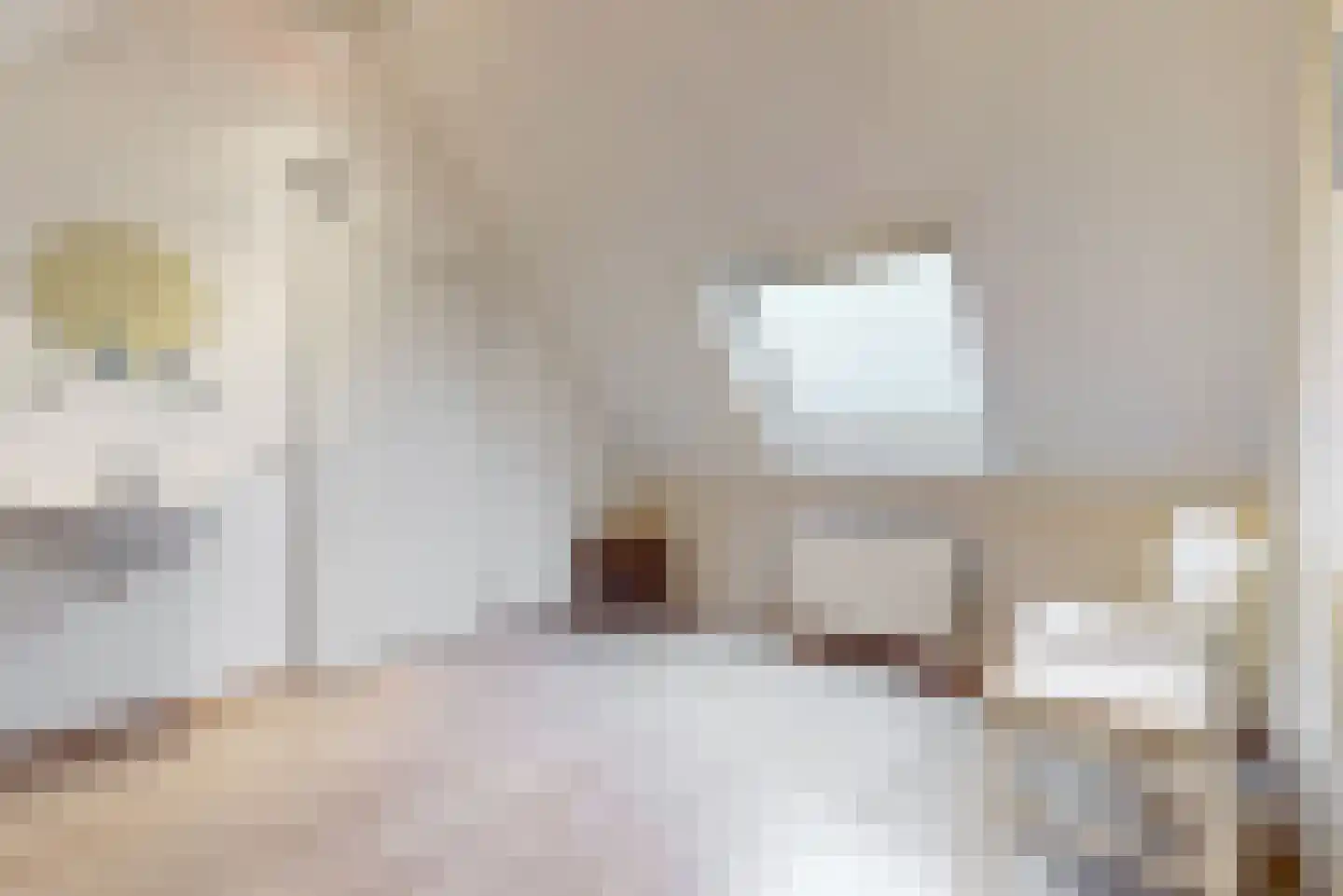 Mastbos 143 Hoofddorp thumbnail 27