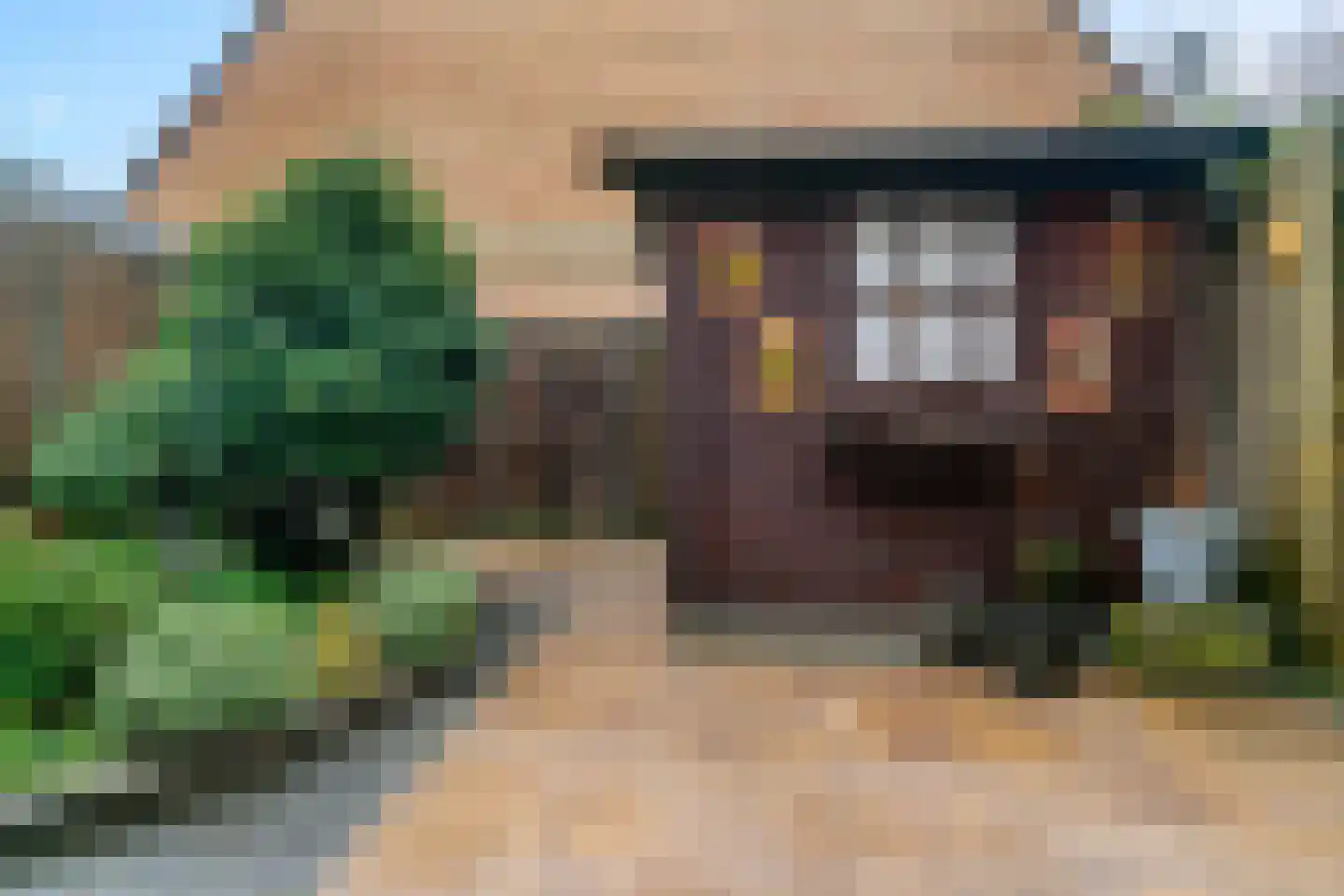 Mastbos 143 Hoofddorp thumbnail 28