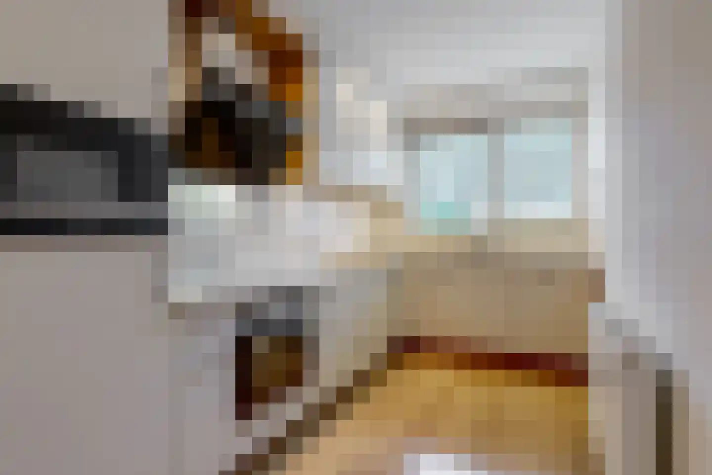 Mastbos 143 Hoofddorp thumbnail 7