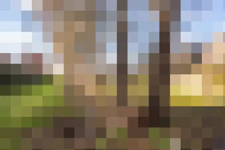 Mastbos 154 Enschede thumbnail 31