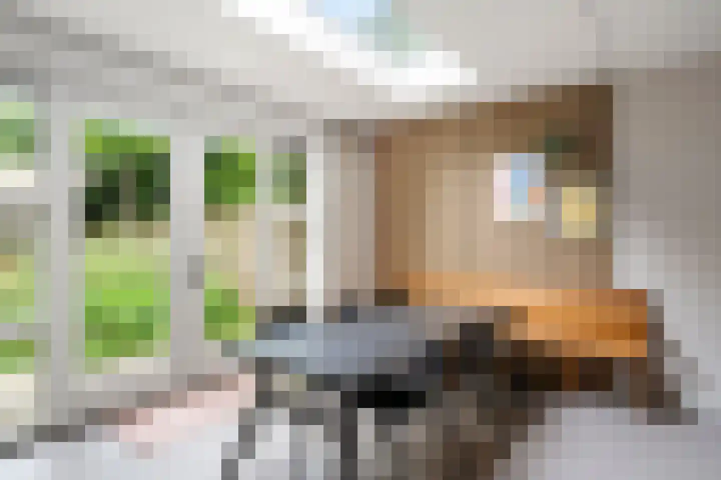 Mastbos 16 Ede thumbnail 15
