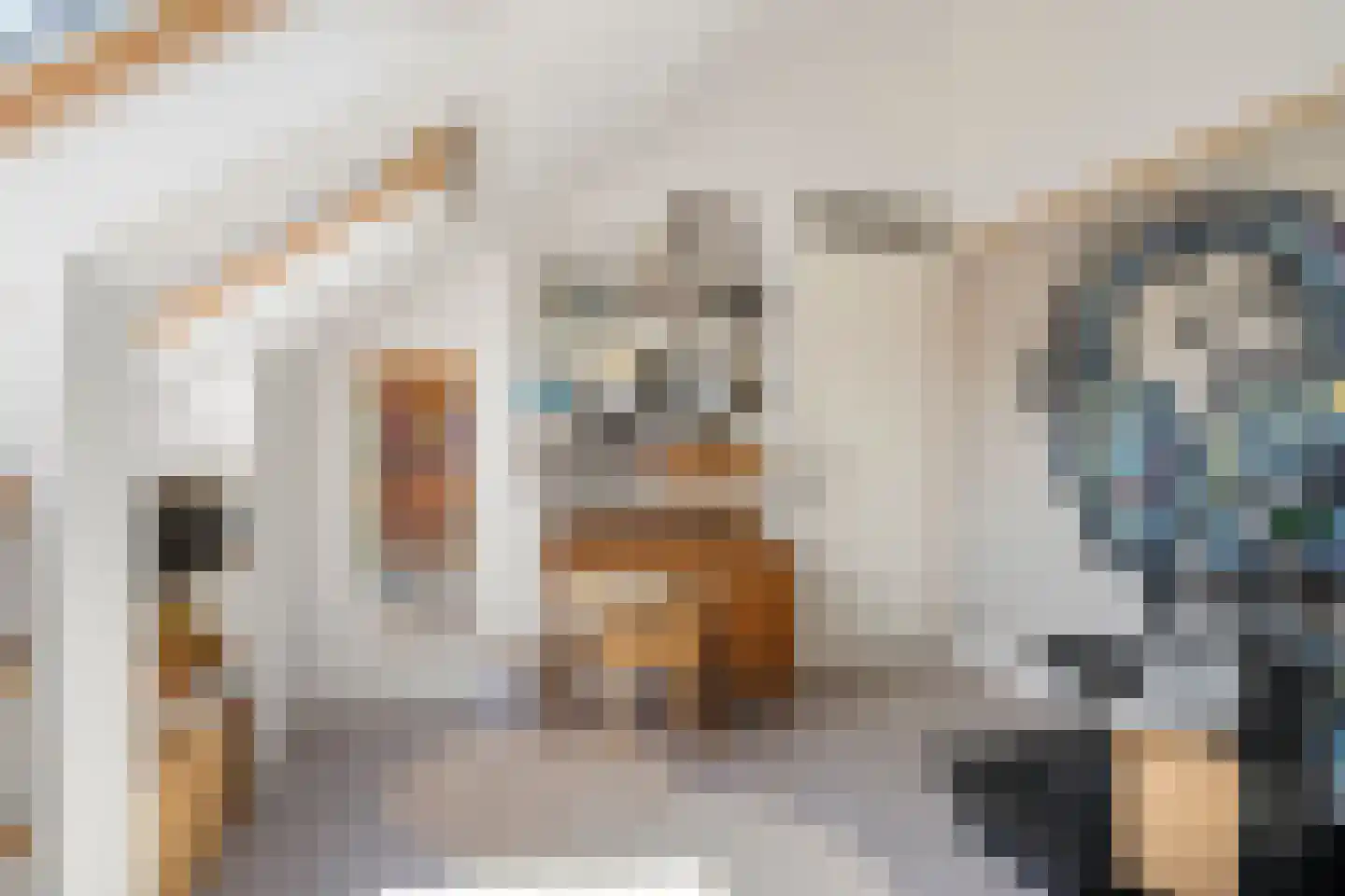 Mastbos 16 Ede thumbnail 41