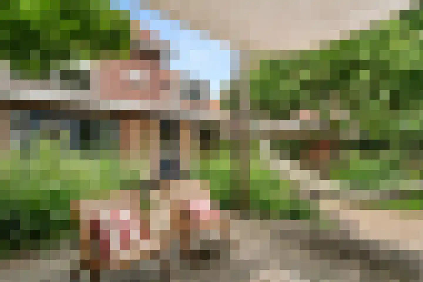 Mastbos 16 Ede thumbnail 45