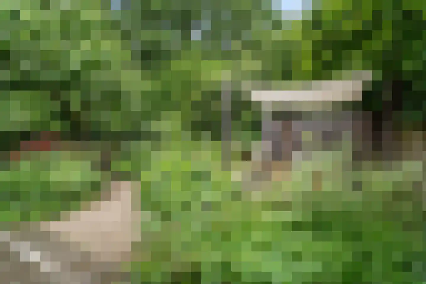 Mastbos 16 Ede thumbnail 46