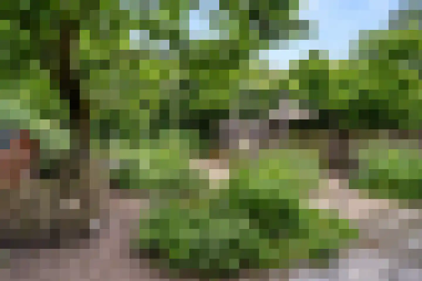 Mastbos 16 Ede thumbnail 47