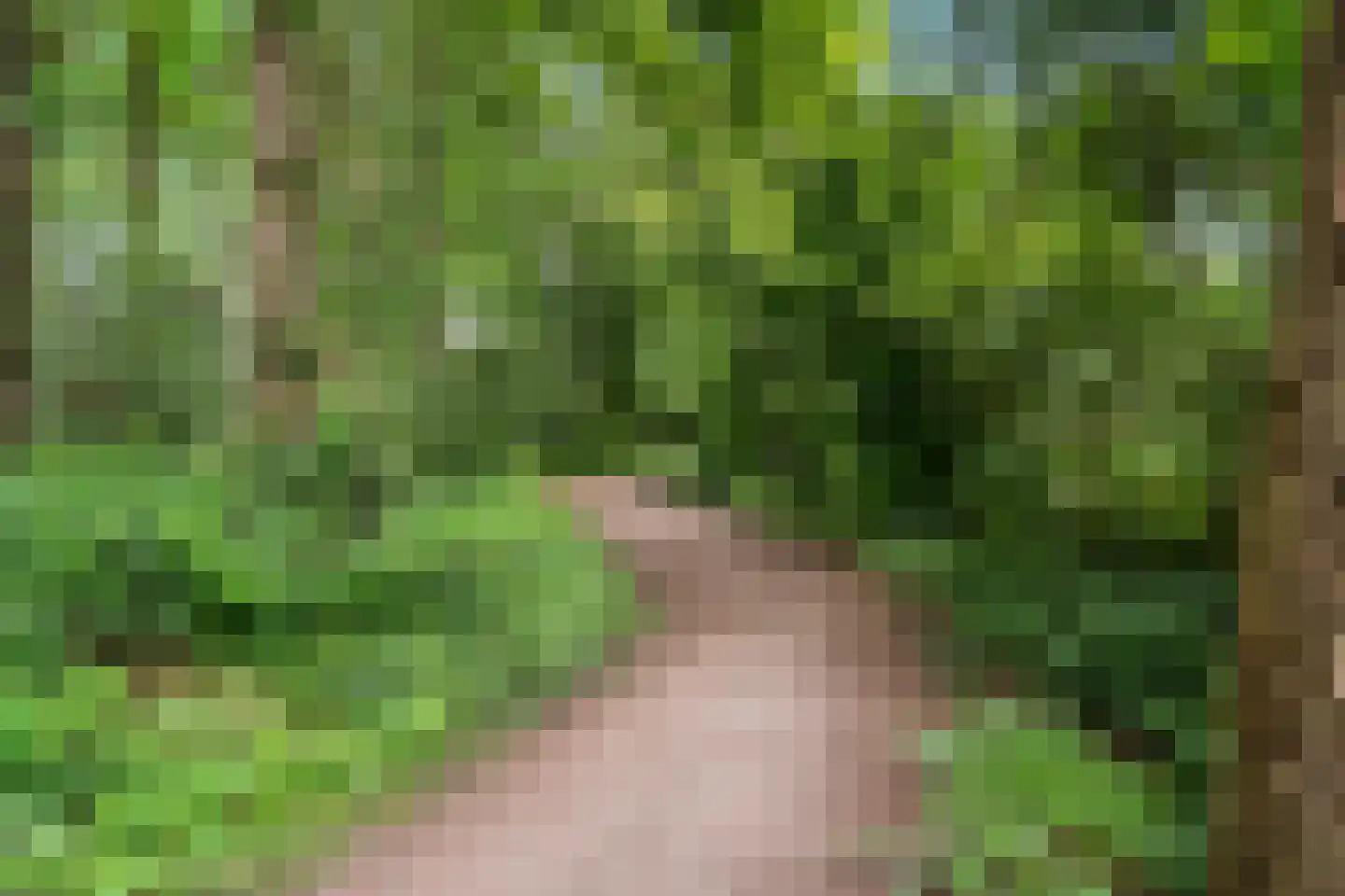 Mastbos 16 Ede thumbnail 50