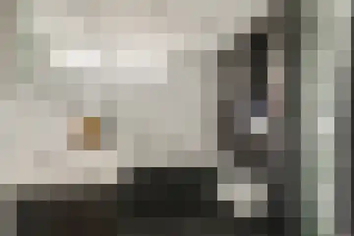 Mastbos 168 Hoofddorp thumbnail 14