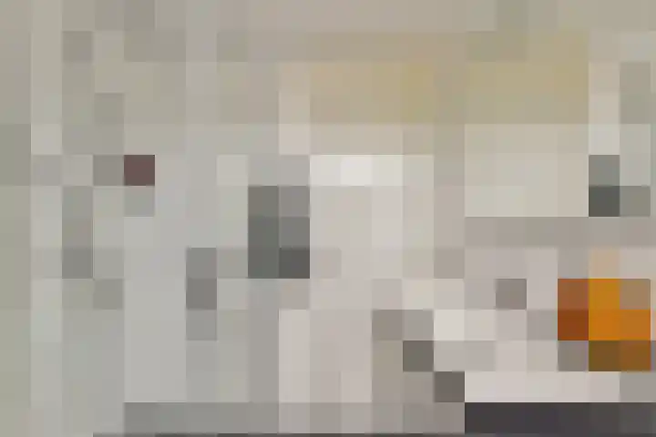 Mastbos 168 Hoofddorp thumbnail 15
