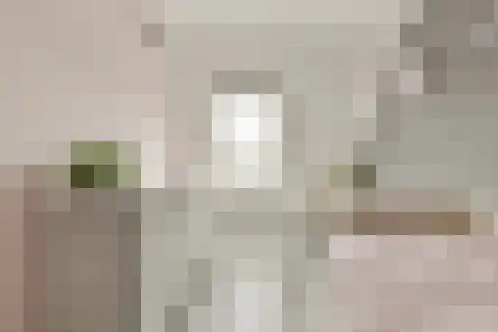 Mastbos 168 Hoofddorp thumbnail 17