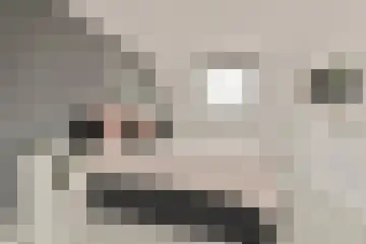 Mastbos 168 Hoofddorp thumbnail 18
