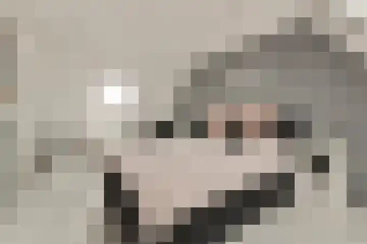 Mastbos 168 Hoofddorp thumbnail 19