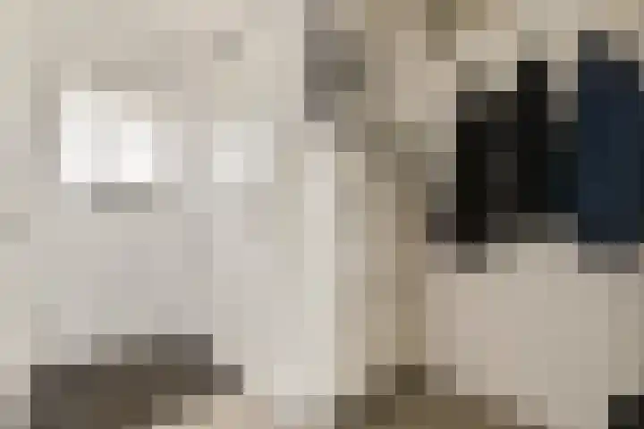 Mastbos 168 Hoofddorp thumbnail 4