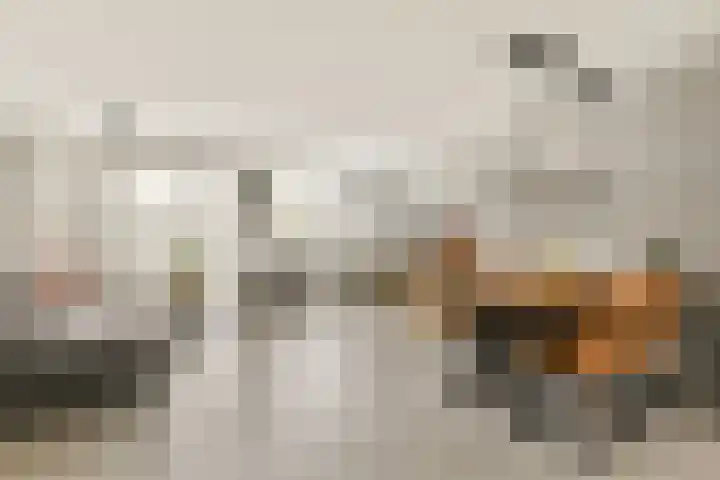 Mastbos 168 Hoofddorp thumbnail 5