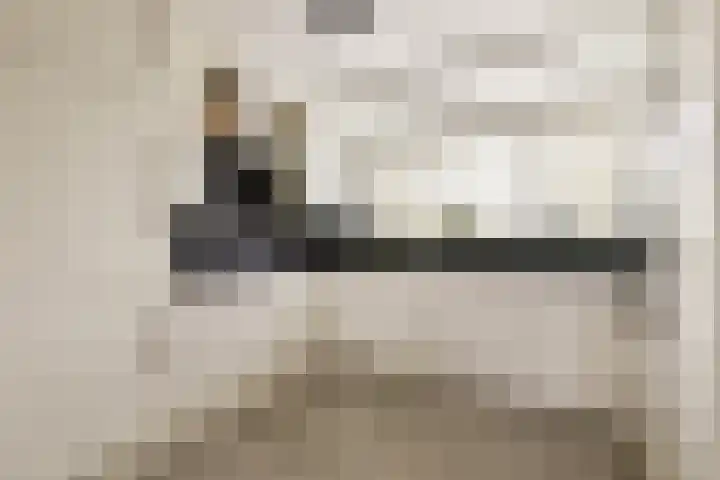 Mastbos 168 Hoofddorp thumbnail 8