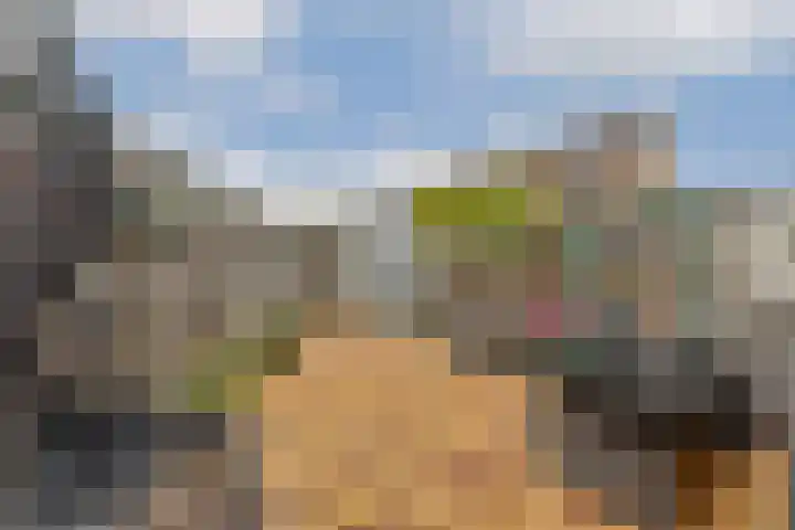 Mastbos 168 Hoofddorp thumbnail 9