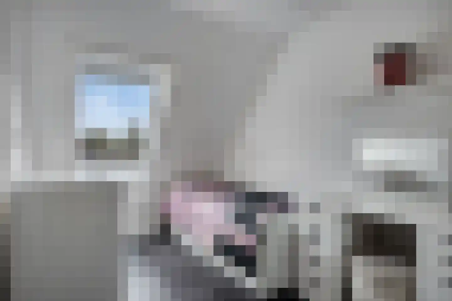 Mastbos 176 Hoofddorp thumbnail 19