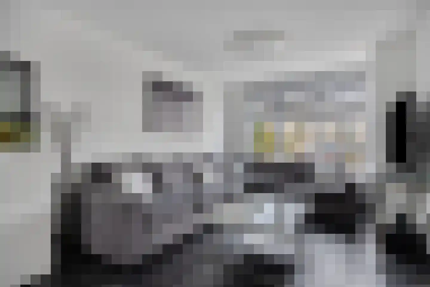 Mastbos 176 Hoofddorp thumbnail 6
