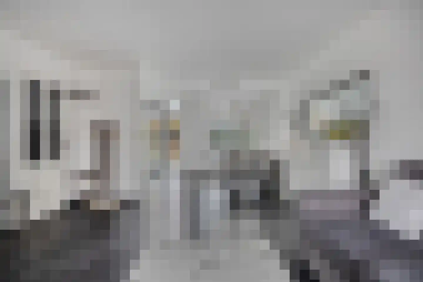 Mastbos 176 Hoofddorp thumbnail 7