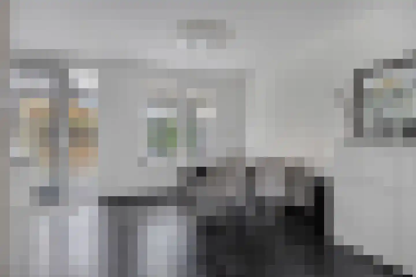 Mastbos 176 Hoofddorp thumbnail 9
