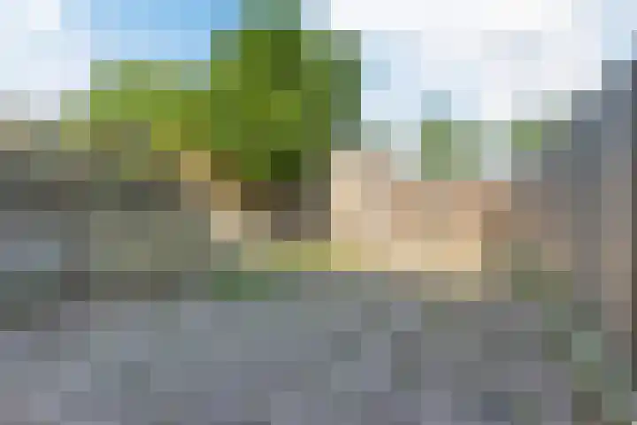 Mastbos 228 Hoofddorp thumbnail 31