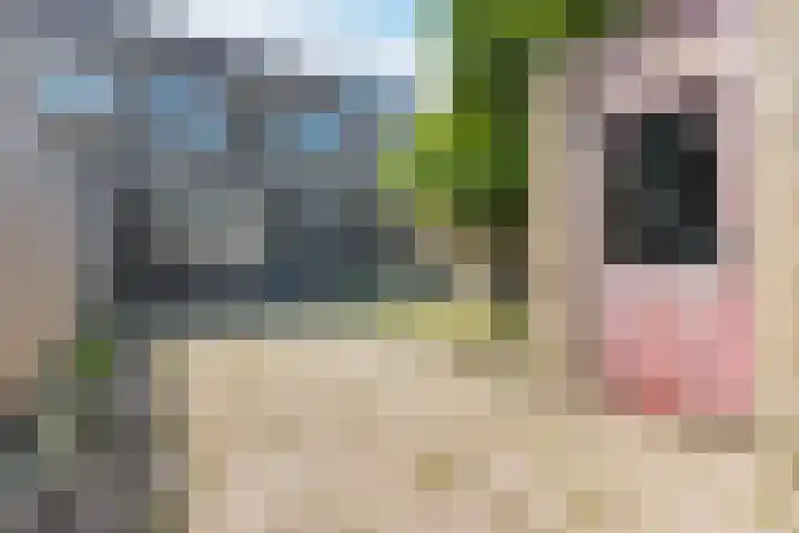 Mastbos 228 Hoofddorp thumbnail 32