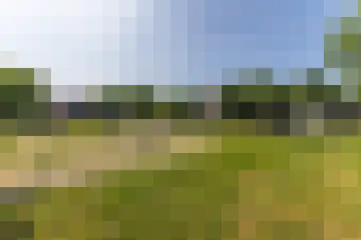 Mastbos 228 Hoofddorp thumbnail 35