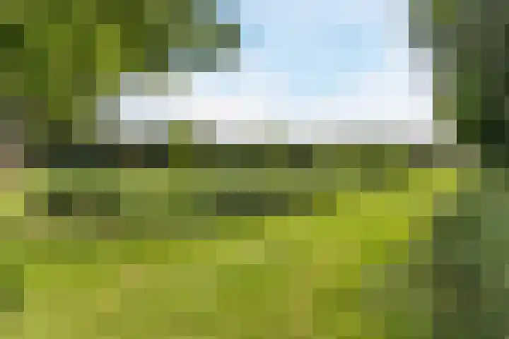 Mastbos 228 Hoofddorp thumbnail 36