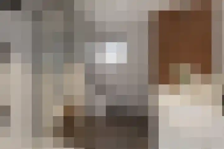 Mastbos 228 Hoofddorp thumbnail 4