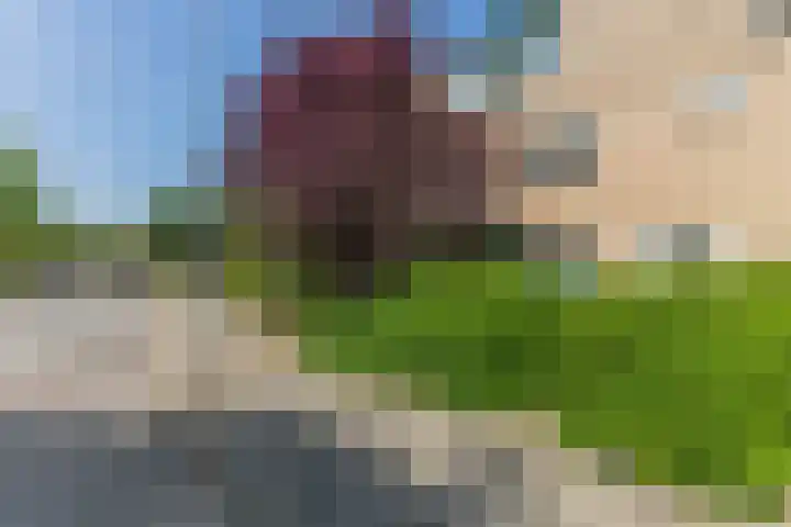 Mastbos 228 Hoofddorp thumbnail 7