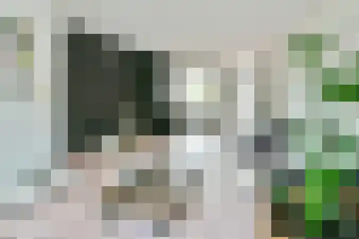 Mastbos 250 Hoofddorp thumbnail 10