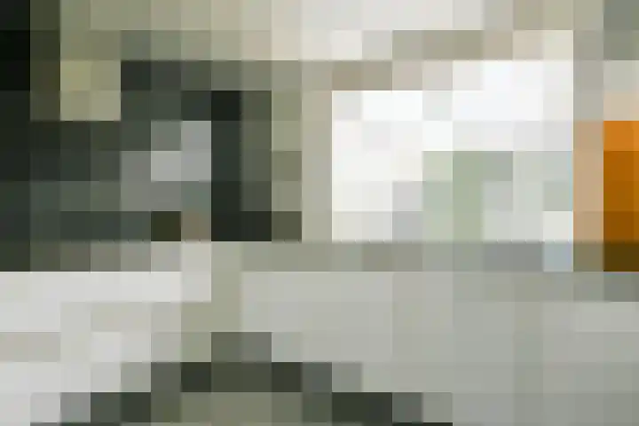 Mastbos 250 Hoofddorp thumbnail 12