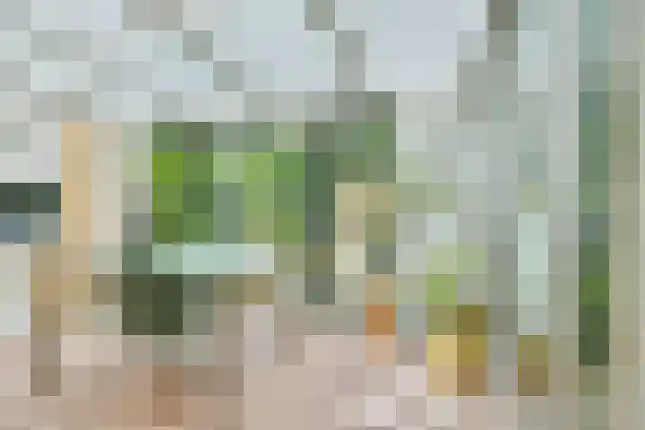 Mastbos 250 Hoofddorp thumbnail 15