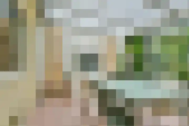 Mastbos 250 Hoofddorp thumbnail 16
