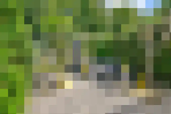 Mastbos 250 Hoofddorp thumbnail 17