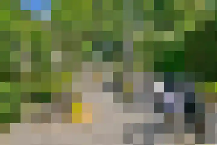 Mastbos 250 Hoofddorp thumbnail 18