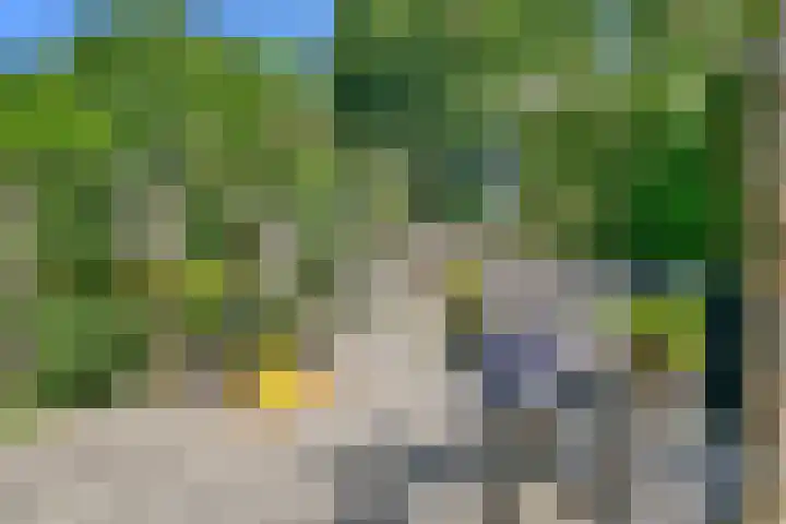 Mastbos 250 Hoofddorp thumbnail 19