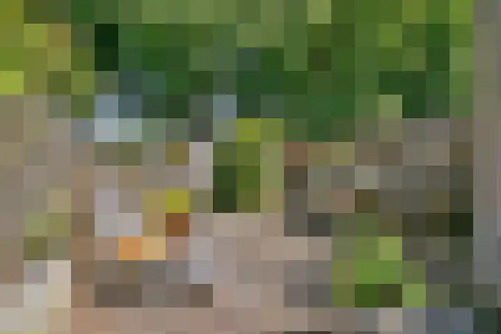 Mastbos 250 Hoofddorp thumbnail 20