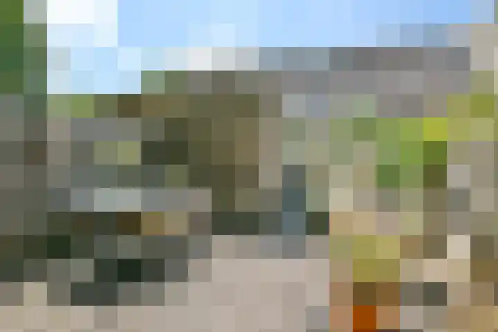 Mastbos 250 Hoofddorp thumbnail 21