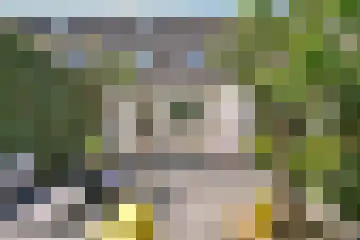 Mastbos 250 Hoofddorp thumbnail 22